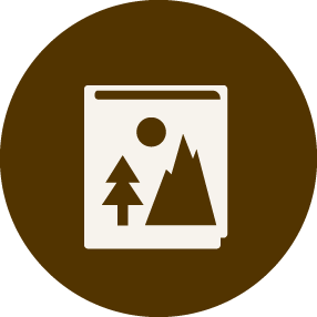 ANIMATION